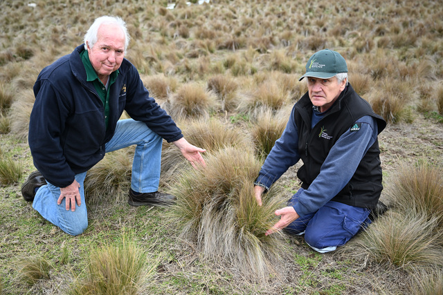 West’s invasive weed war