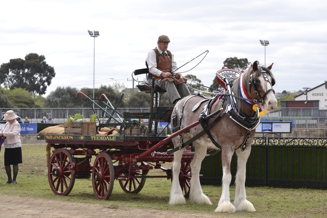 Heavy horsepower back in Werribee