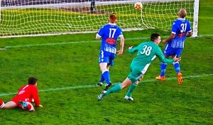 Heavenly week for Green Gully