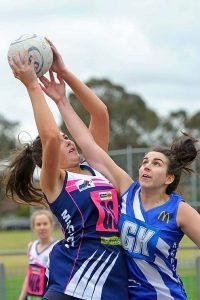 Cats chase lofty heights