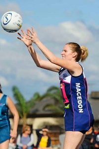 Cats steal the cream