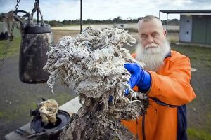 ‘Flushable wipes’ cause major blockages