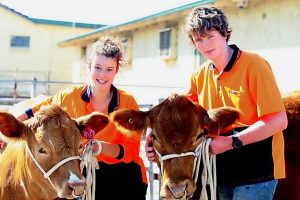 Students gear up for harvest festival