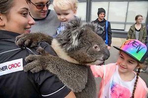 All the fun of the Sunbury Show