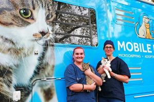 Cheaper microchipping for pets