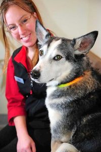 Petlovers hit the pavement for Paws in the Park