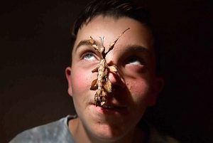 Cooper loves creepy crawlies