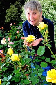 Finally, time for the Ballan Red Cross flower show