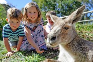 Hanging Rock opens late for picnics