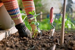 Nature strips a growing concern