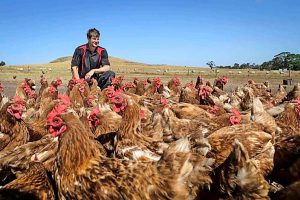 Farmers hatch plans for the future