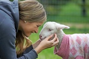 Basics for a better world shared