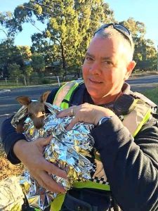 Sunbury police hop to wildlife rescue