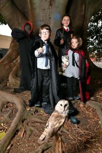 Potter holds us in his spell