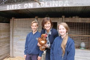 Bolinda Primary School gets an upgrade