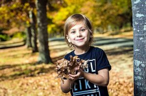 Parking fines for Macedon’s Honour Avenue admirers