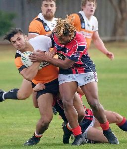 Sunbury United Tigers find their stride