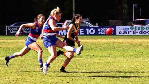 Gisborne goes down fighting