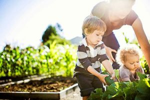 Sunbury and Macedon Ranges community calendar, June 19, 2018