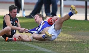 Sunbury Lions losing their way