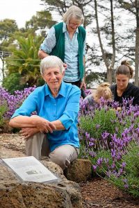 A walk through history