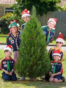 Scouts open branch office