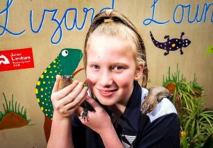 Skink fans become lizard wizards