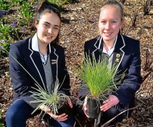 College students prepare plans to plant