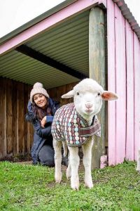 Ewe need shelter, too