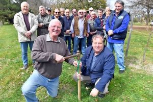 Push for Romsey shed