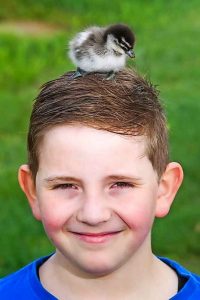 Fun with furry friends