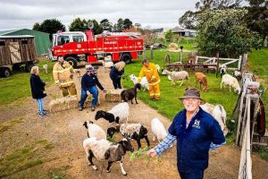 Festival of food and fun