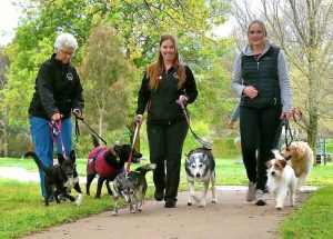 Paws, park and fur fun