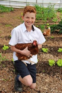 Festival harvests community spirit