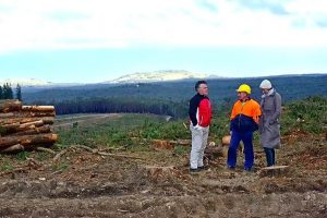 Second wind for Woodend project