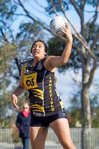 Full set of Tiger stripes on show