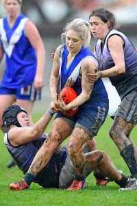 Lions perfect season