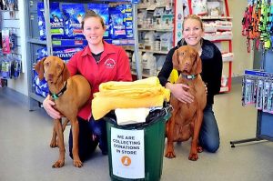 Gisborne vets helping homeless people’s pets