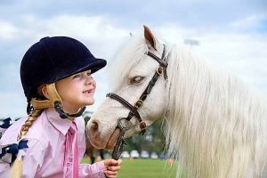 Sunbury show a winner