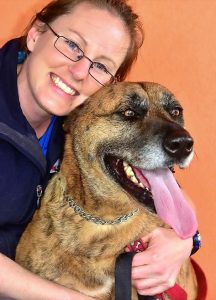 Paws for thought as pets get special treatment