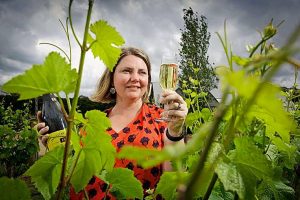 Celebrating 25 years of Budburst