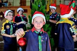 Christmas tree sales help Scouts grow