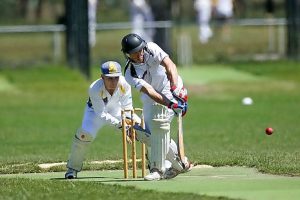 Tigers claw back victory