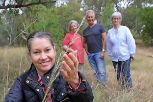 Protection for Gisborne reserve