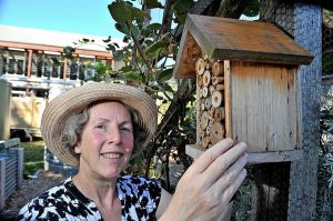 Managing pests without chemicals