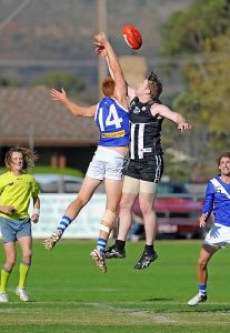 Lions’ plan pays big dividend