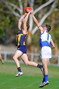 Sharks snap too late