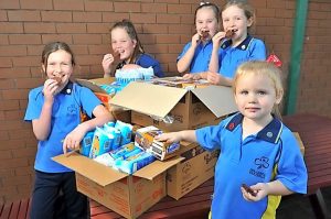Guides hope biscuits will bring in dough