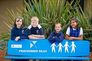 Friendship seats aid social skills
