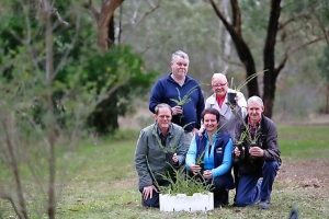 Green team to target Kismet Creek